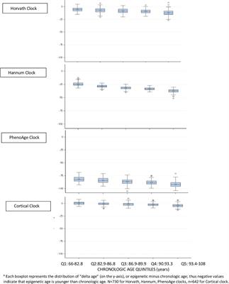 Characteristics of Epigenetic Clocks Across Blood and Brain Tissue in Older Women and Men